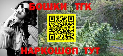 СК Моздок